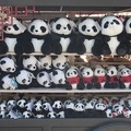 321-1339 San Diego Zoo - Pandas in a Row